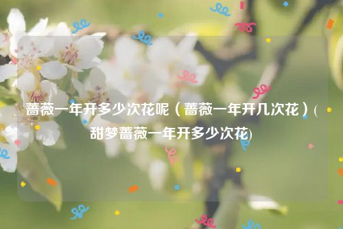 蔷薇一年开多少次花呢（蔷薇一年开几次花）(甜梦蔷薇一年开多少次花)