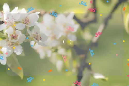 芣(芣)
