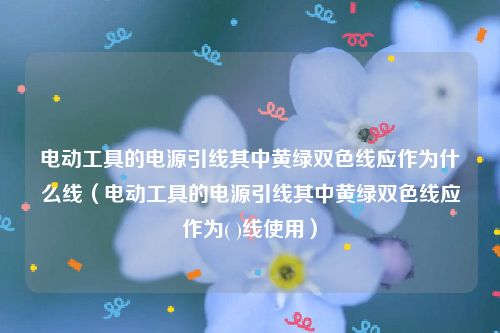 电动工具的电源引线其中黄绿双色线应作为什么线（电动工具的电源引线其中黄绿双色线应作为( )线使用）