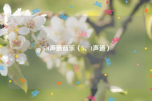 5 1声道音乐（5、1声道）