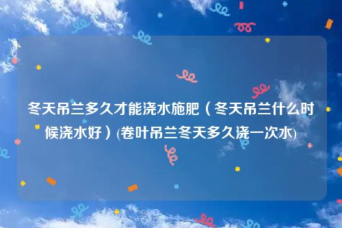 冬天吊兰多久才能浇水施肥（冬天吊兰什么时候浇水好）(卷叶吊兰冬天多久浇一次水)