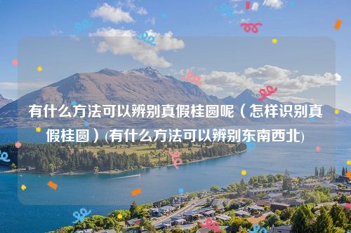 有什么方法可以辨别真假桂圆呢（怎样识别真假桂圆）(有什么方法可以辨别东南西北)
