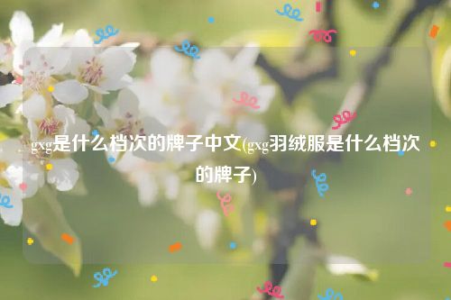 gxg是什么档次的牌子中文(gxg羽绒服是什么档次的牌子)
