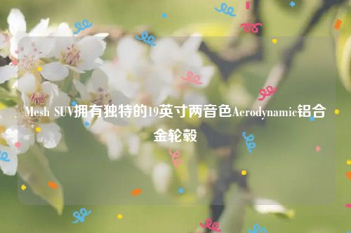 Mesh SUV拥有独特的19英寸两音色Aerodynamic铝合金轮毂