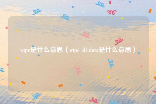wipe是什么意思（wipe all data是什么意思）