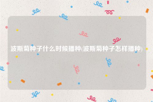 波斯菊种子什么时候播种(波斯菊种子怎样播种)