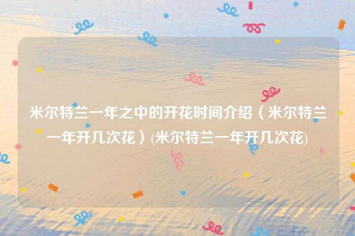 米尔特兰一年之中的开花时间介绍（米尔特兰一年开几次花）(米尔特兰一年开几次花)