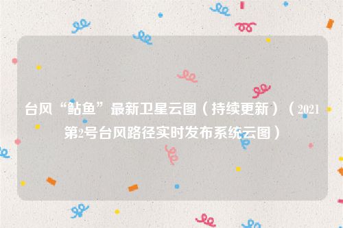 台风“鲇鱼”最新卫星云图（持续更新）（2021第2号台风路径实时发布系统云图）
