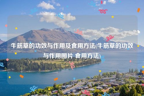 牛筋草的功效与作用及食用方法(牛筋草的功效与作用图片 食用方法)