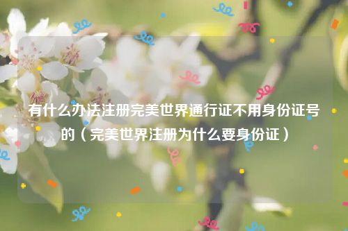 有什么办法注册完美世界通行证不用身份证号的（完美世界注册为什么要身份证）