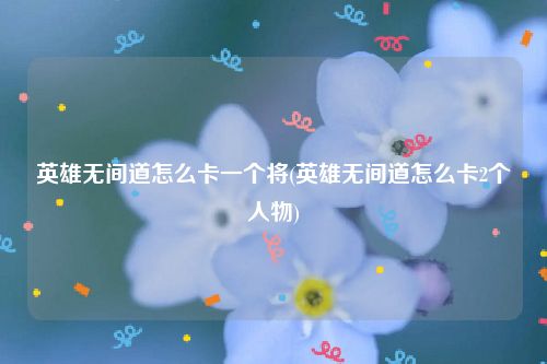 英雄无间道怎么卡一个将(英雄无间道怎么卡2个人物)