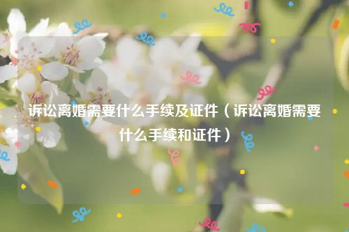 诉讼离婚需要什么手续及证件（诉讼离婚需要什么手续和证件）