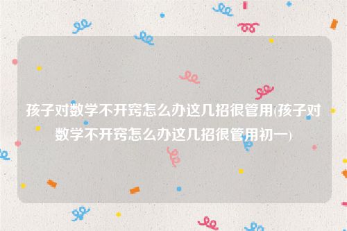 孩子对数学不开窍怎么办这几招很管用(孩子对数学不开窍怎么办这几招很管用初一)