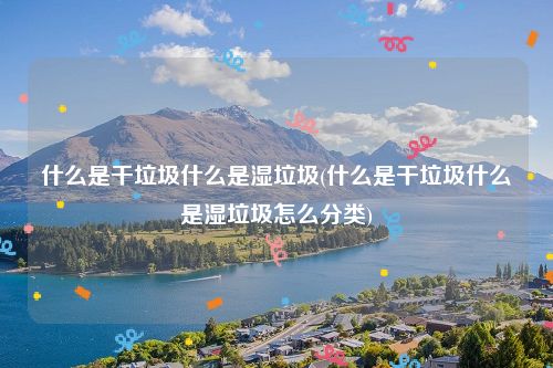 什么是干垃圾什么是湿垃圾(什么是干垃圾什么是湿垃圾怎么分类)