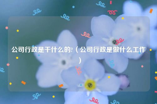 公司行政是干什么的?（公司行政是做什么工作）