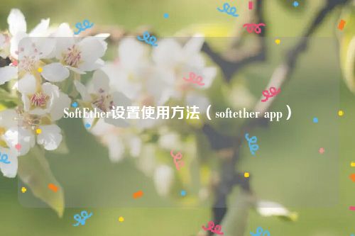 SoftEther设置使用方法（softether app）