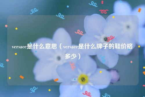 versace是什么意思（versace是什么牌子的鞋价格多少）