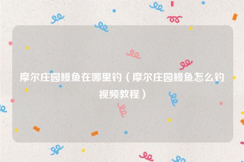 摩尔庄园鳗鱼在哪里钓（摩尔庄园鳗鱼怎么钓视频教程）
