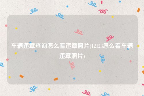 车辆违章查询怎么看违章照片(12123怎么看车辆违章照片)
