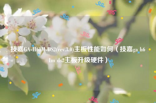 技嘉GA-H61M-DS2(rev.3.0)主板性能如何（技嘉ga h61m ds2主板升级硬件）