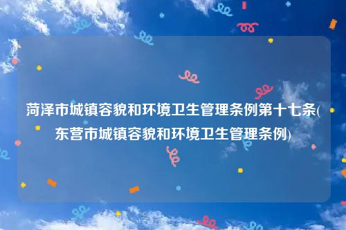 菏泽市城镇容貌和环境卫生管理条例第十七条(东营市城镇容貌和环境卫生管理条例)