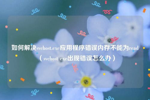如何解决svchost.exe应用程序错误内存不能为read（svchost exe出现错误怎么办）